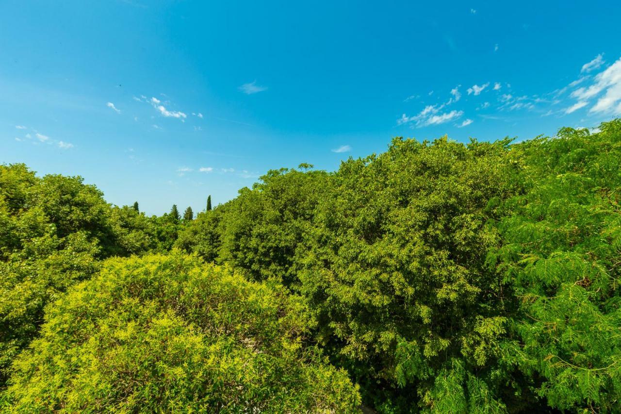 Apartamento Hedera Estate, Hedera A1 Dubrovnik Exterior foto